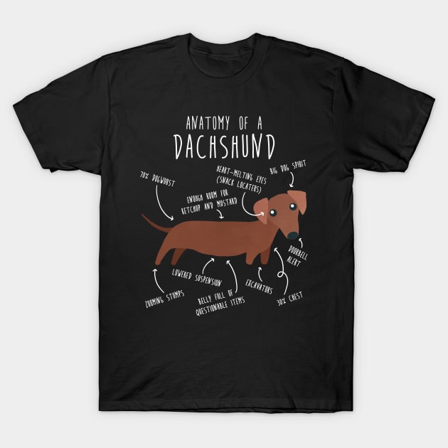 Red Dachshund Dog Anatomy T-Shirt by Psitta